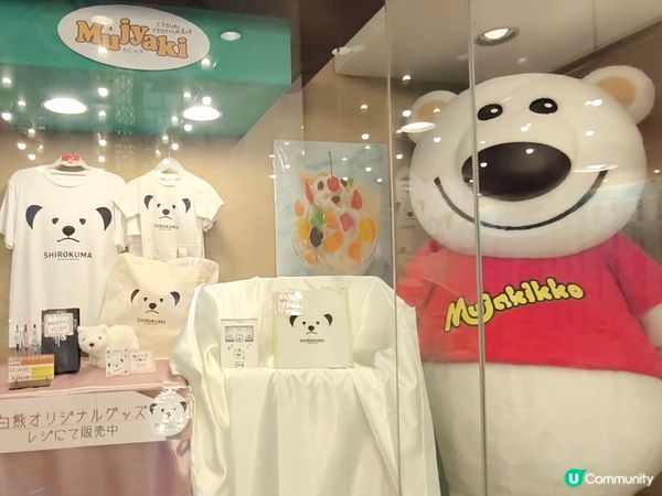 鹿兒島人氣甜點 可愛白熊冰 75年老店 有主食有小食位置方便