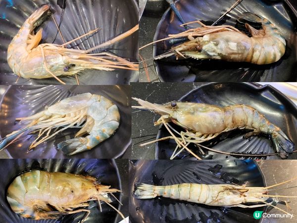 深圳抵食￥58迴轉火鍋放題/半放題 位置方便 可一人用餐