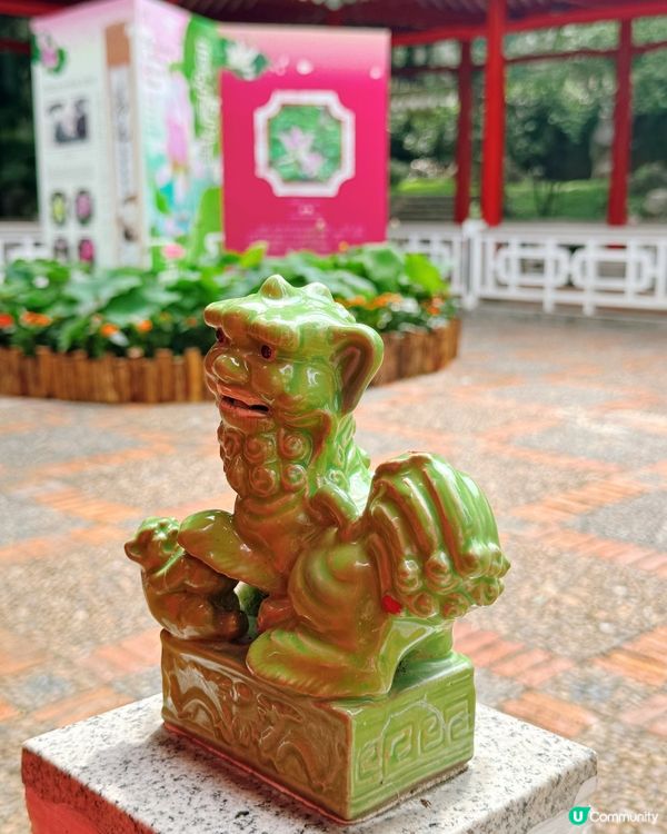 紅柱綠瓦古風情 🌿荷塘映春草 🌸