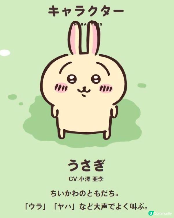 Chiikawa 角色介紹 - 烏薩奇