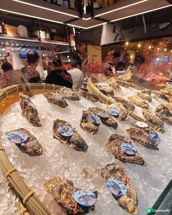 炭兔居酒屋：歎圍爐燒😍 oysters正！