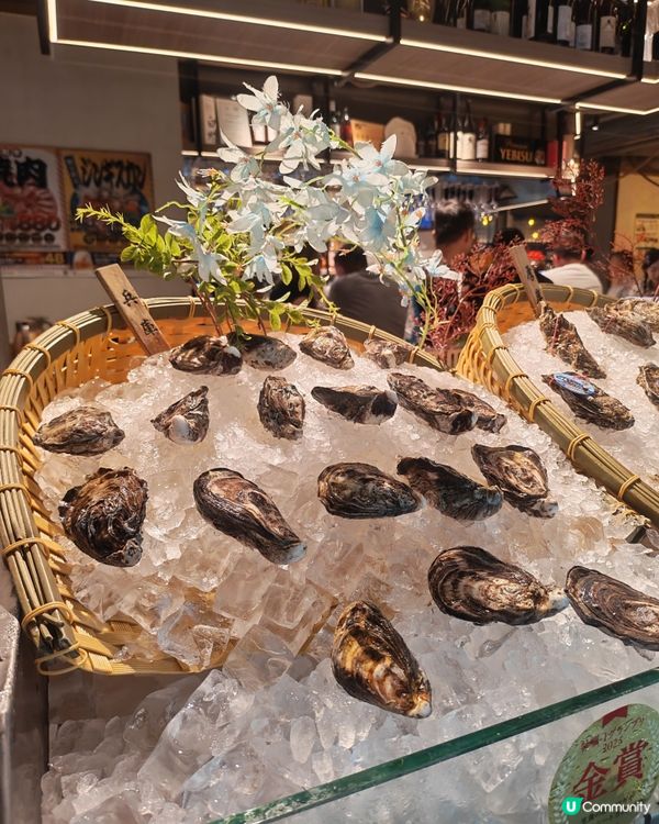 炭兔居酒屋：歎圍爐燒😍 oysters正！