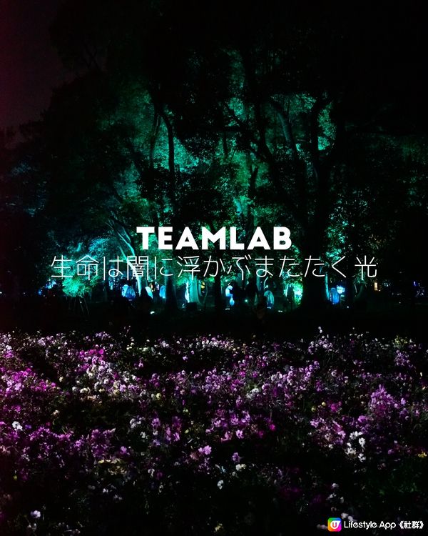 大阪首個戶外Teamlab