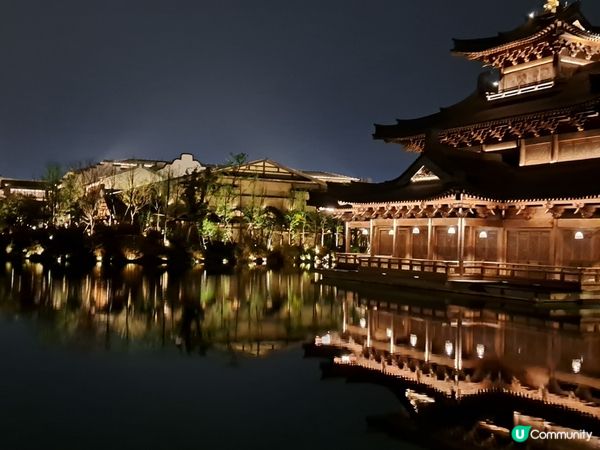 江南風景，賞湖光山色及夜櫻