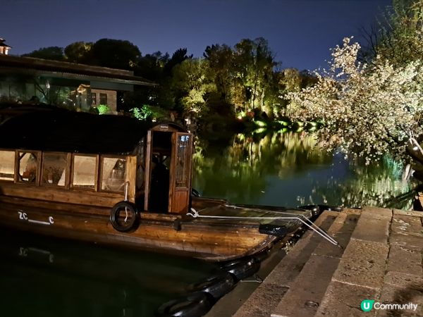 江南風景，賞湖光山色及夜櫻