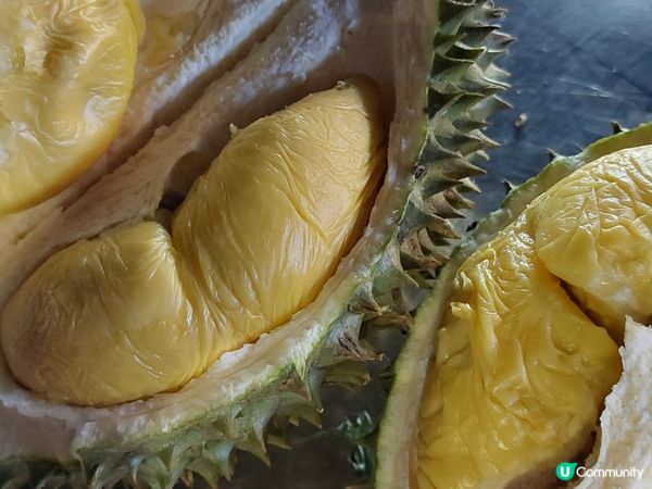 新加坡