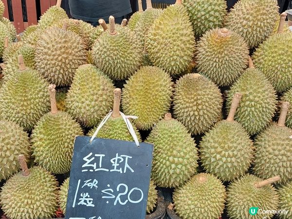 新加坡