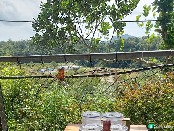 西貢爆玩半日遊！離島chill下🥳 聖誕去邊好？🎄