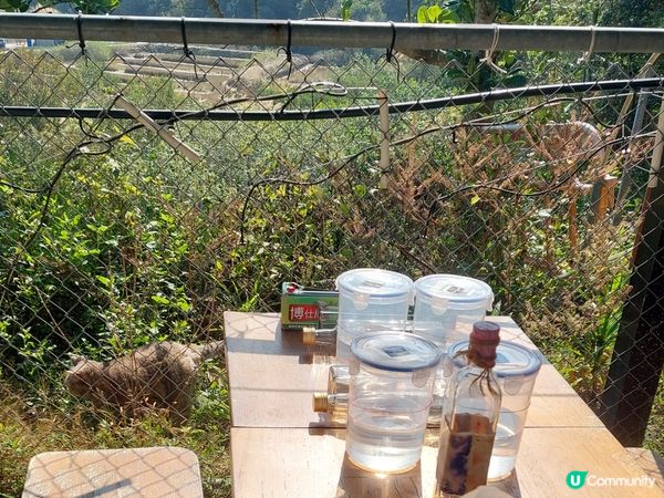 西貢離島遊！心靈洗禮半日遊！🏝️✨ 推介清酒工作坊！！