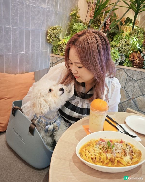 🌟寵物餐廳分享 :(ت)