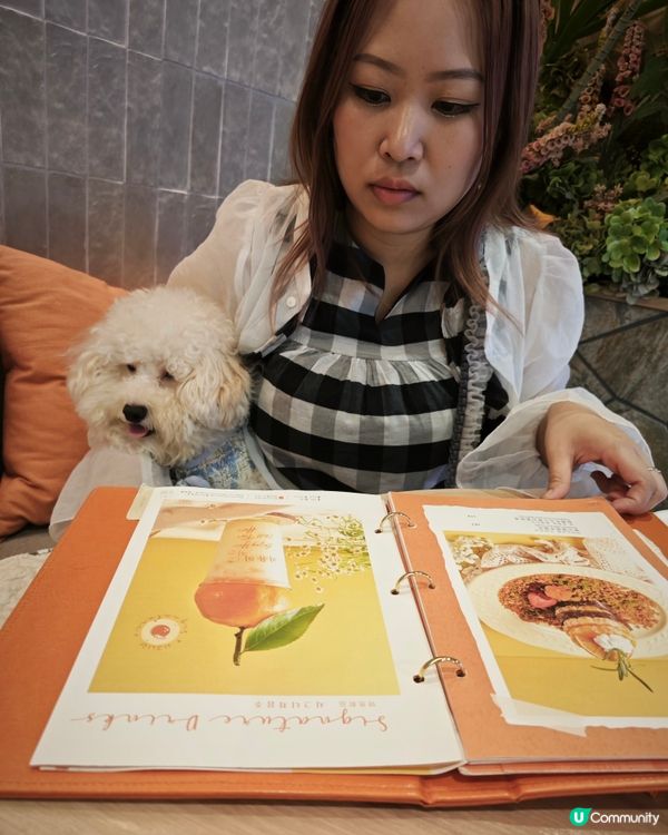 🌟寵物餐廳分享 :(ت)