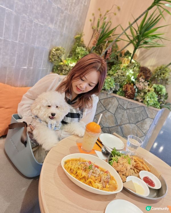 🌟寵物餐廳分享 :(ت)