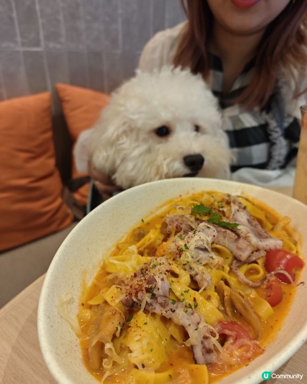 🌟寵物餐廳分享 :(ت)