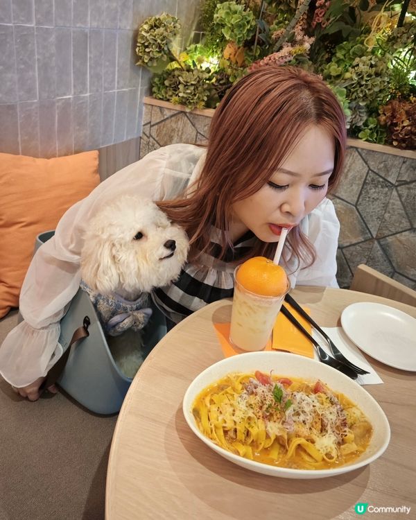 🌟寵物餐廳分享 :(ت)