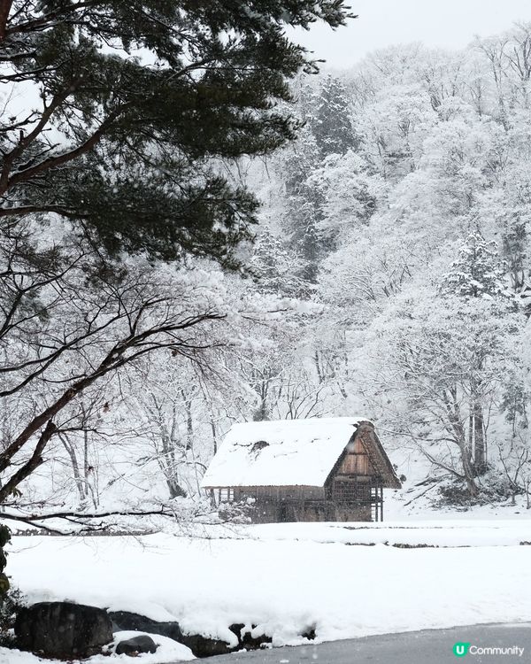 白川鄉合掌村❄️ 童話世界之旅