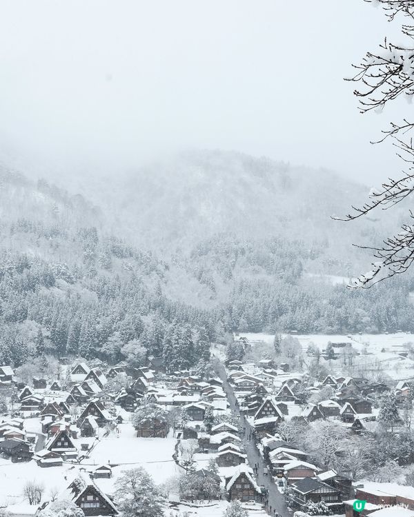 白川鄉合掌村❄️ 童話世界之旅