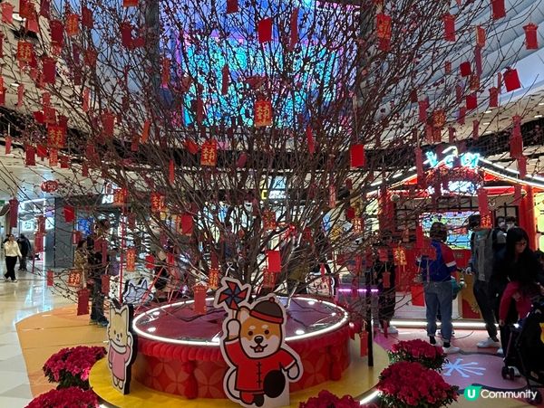 V city 情人節打卡