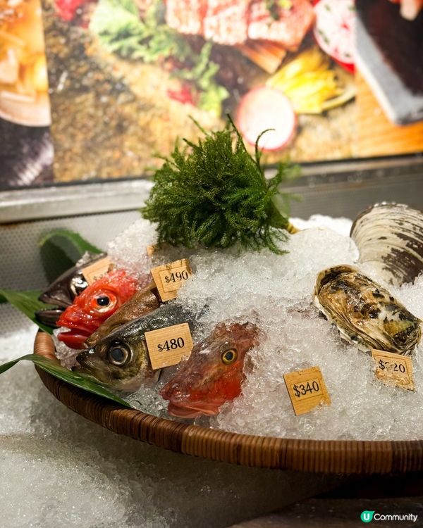 深夜食堂🤤日式居酒屋+任食火鍋推介！😋