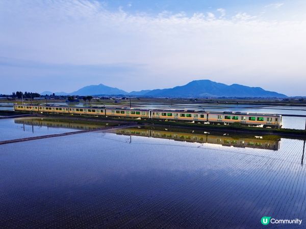 插秧季美景！新潟限定🌾✨