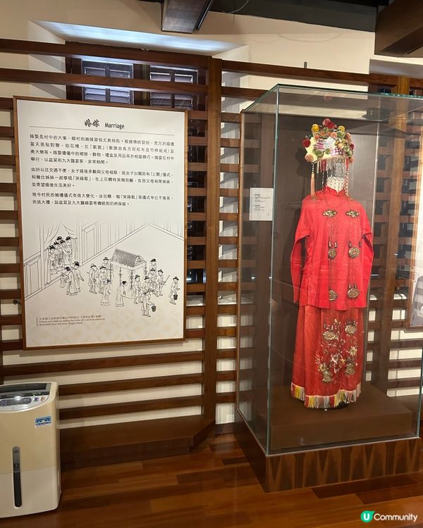 屏山文物徑｜親子友善📚 