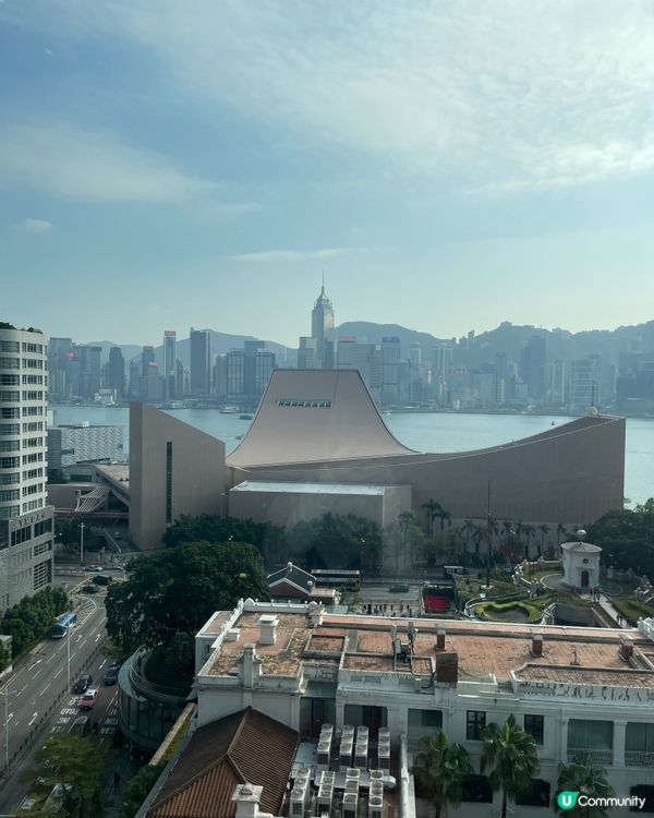 $7 $8 $9 飲茶猛食