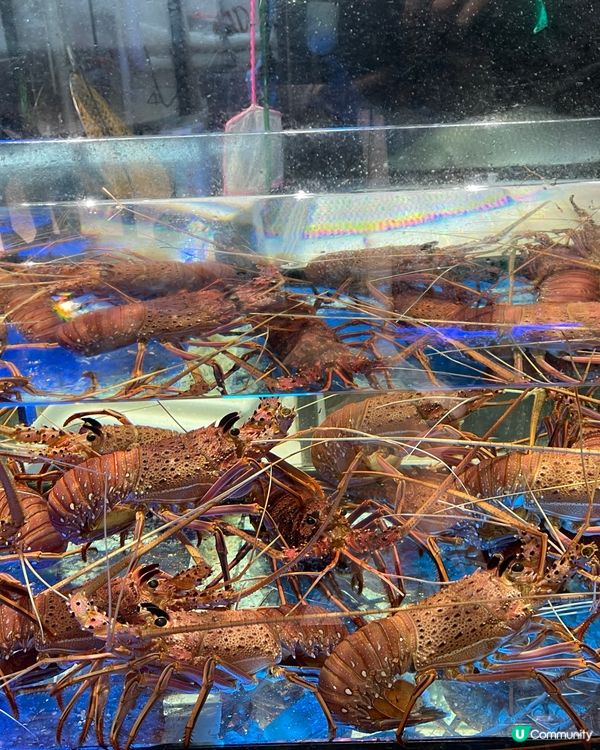 $7 $8 $9 飲茶猛食