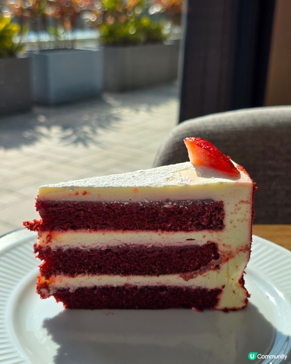 🎄尖沙咀必食聖誕自助餐！麗晶酒店港畔餐廳🤩