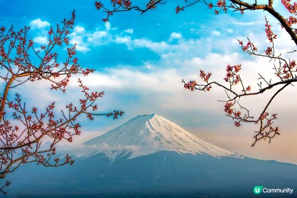 相機識得自動對焦靚景！📷#打造韓系浪漫廚房