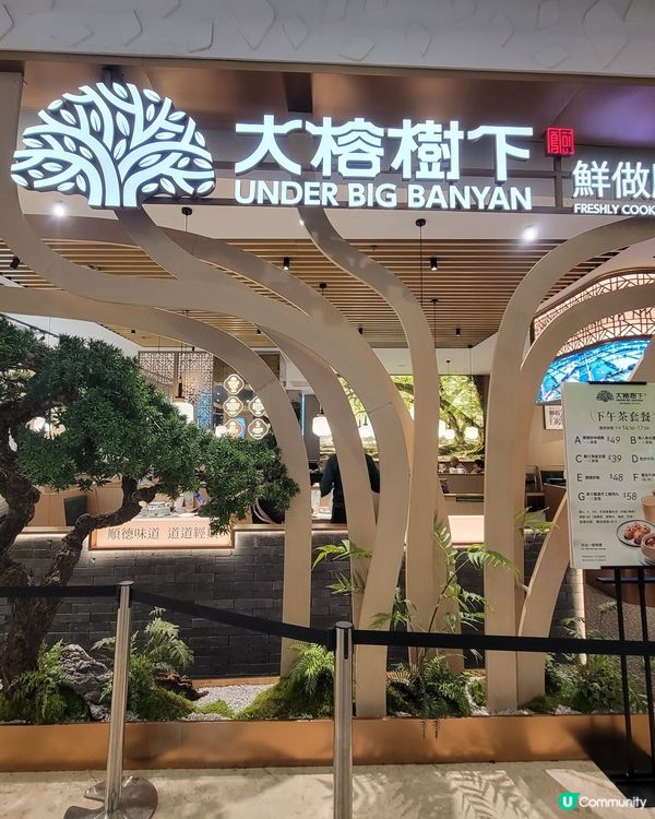 青衣城新開🆕️抵食新派雅緻順德菜「大榕樹下」💚