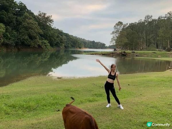 城門水塘新手行山路線！🏞️ 2小時輕鬆打卡✅