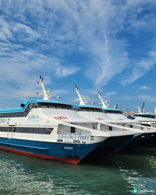 遛狗放空好地方