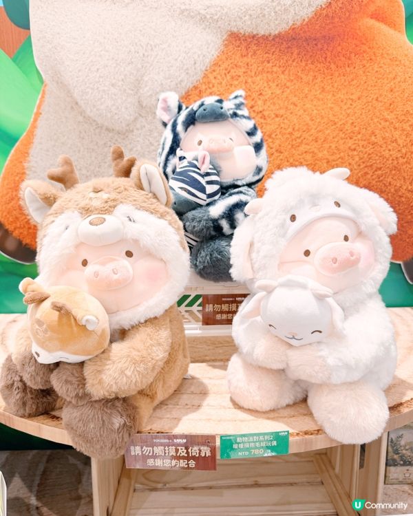 罐頭豬LuLu新品快閃搶先睇