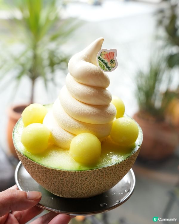 深圳巨大韓式烤肉店-螞蟻洞