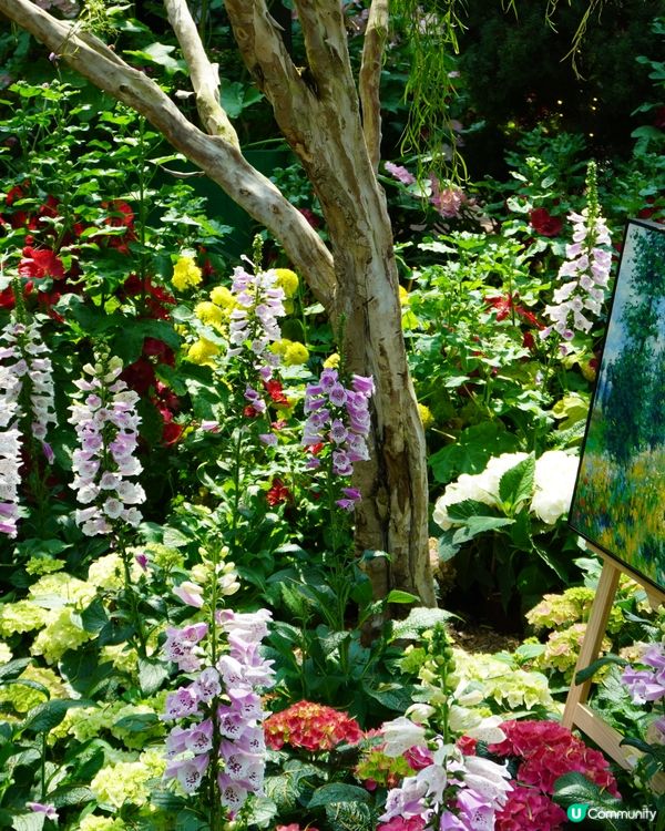 亞洲最熱門旅遊景點 - 濱海灣花園