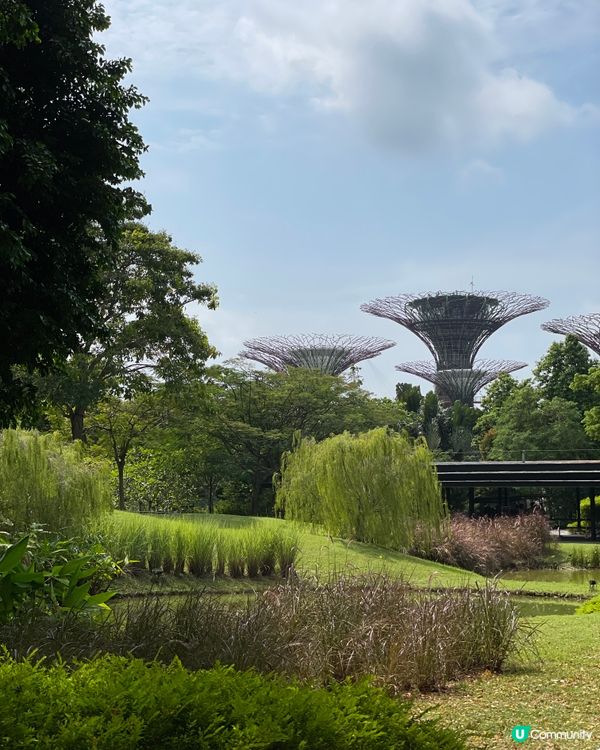 亞洲最熱門旅遊景點 - 濱海灣花園