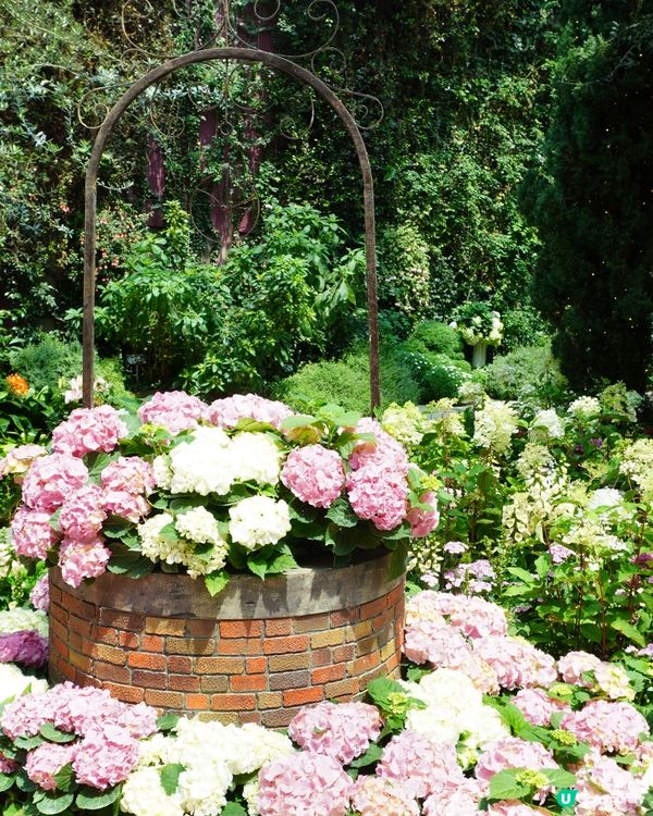 亞洲最熱門旅遊景點 - 濱海灣花園