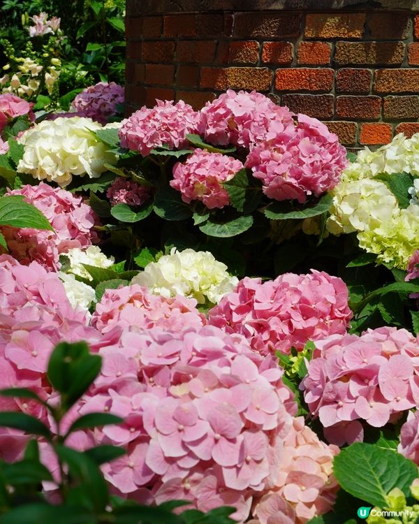 亞洲最熱門旅遊景點 - 濱海灣花園