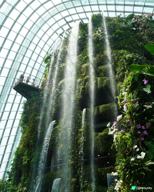 亞洲最熱門旅遊景點 - 濱海灣花園