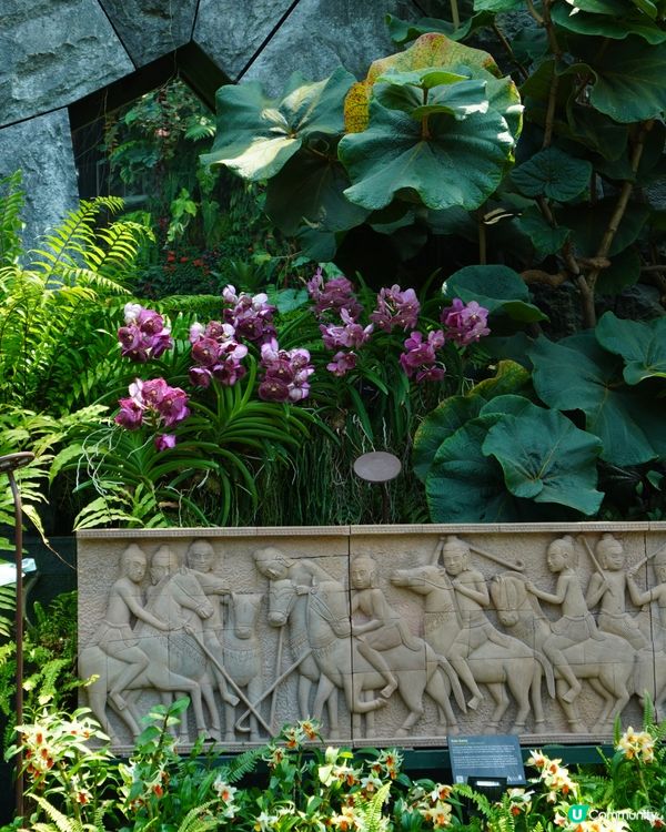 亞洲最熱門旅遊景點 - 濱海灣花園