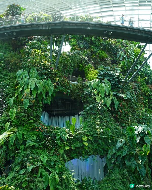 亞洲最熱門旅遊景點 - 濱海灣花園