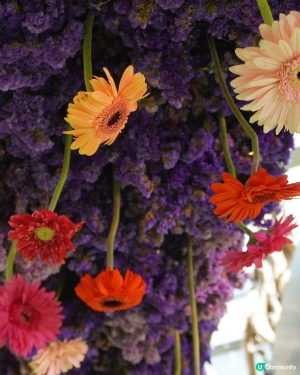 亞洲最熱門旅遊景點 - 濱海灣花園