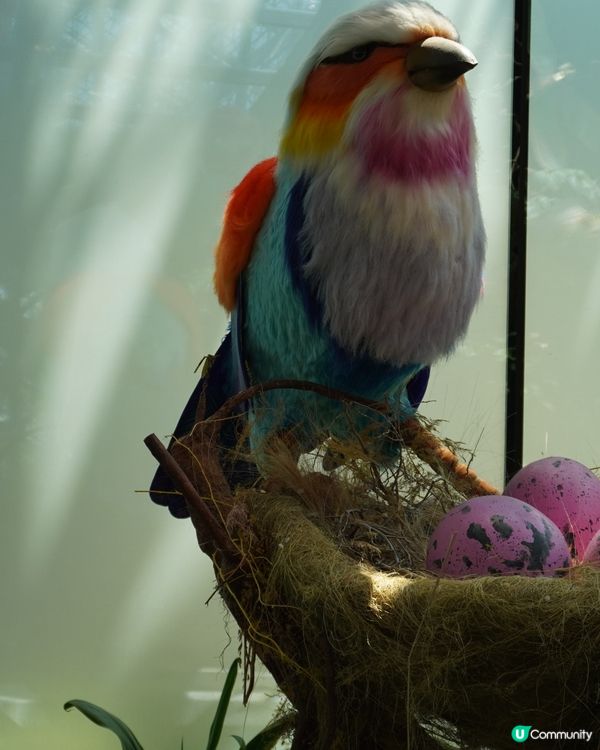 亞洲最熱門旅遊景點 - 濱海灣花園