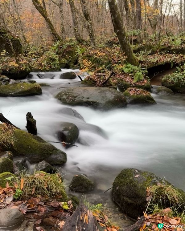 🗺️《開始plan吓》🎌日本青森🍁秋天紅葉美景 