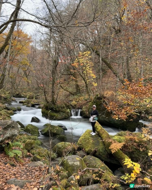 🗺️《開始plan吓》🎌日本青森🍁秋天紅葉美景 