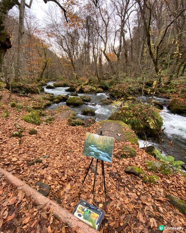 🗺️《開始plan吓》🎌日本青森🍁秋天紅葉美景 