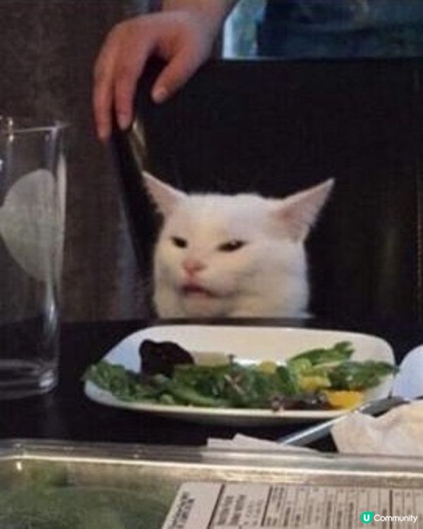 打工仔都唔易做㗎😭