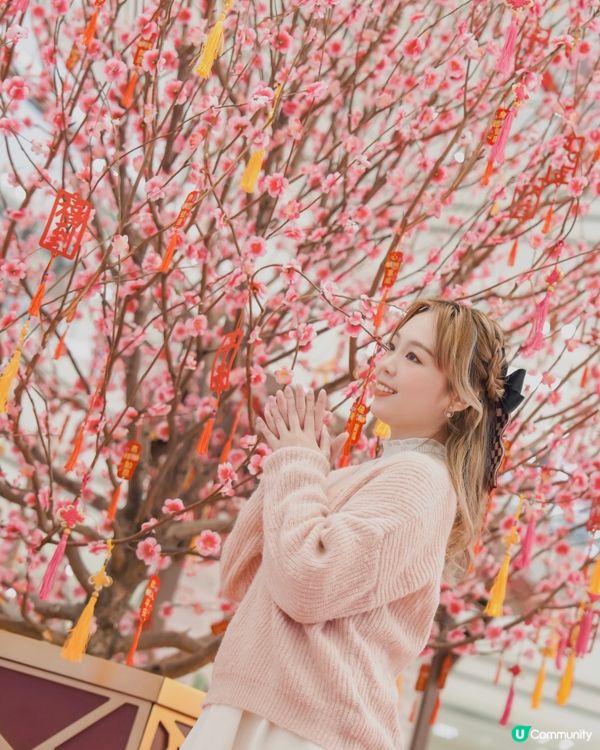 大圍文化節🌸  許願桃花樹下🙏