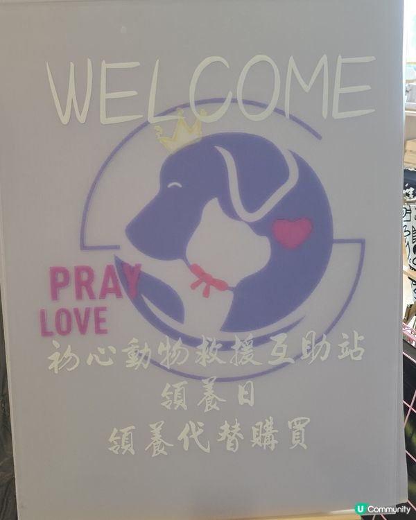 裕美姐姐生日快樂！毛孩招親日等你嚟🥳