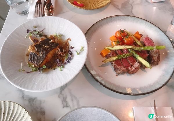 靚景打卡動物友善🐶🐱餐廳Billow