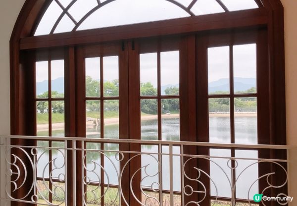 靚景打卡動物友善🐶🐱餐廳Billow